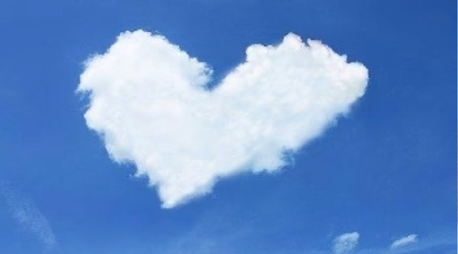 THREE or MORE PASSED ANIMALS Session