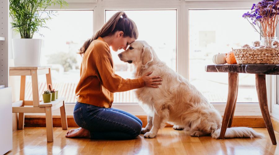 TRAINING - LEARN TO COMMUNICATE WITH ANIMALS